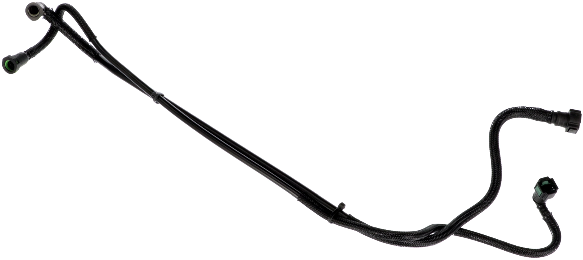 гориевн маркуч