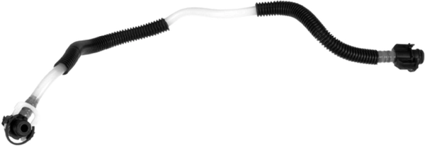 гориевн маркуч